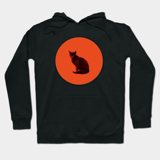 orange cat Hoodie